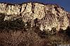 [Monte Albano]