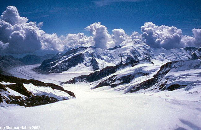 Der Aletschgletscher