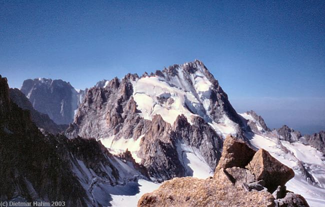 Die Chardonnet