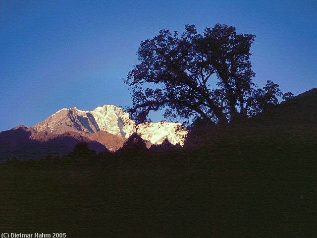 Gaurisankar im Abendlicht