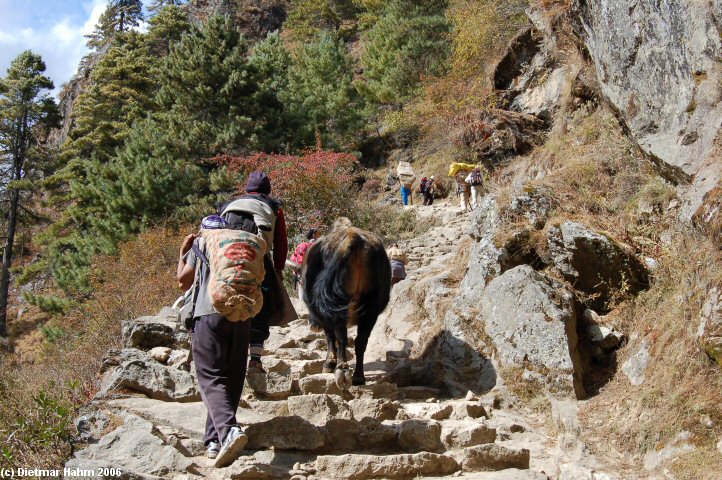 Anstieg nach Namche Bazar